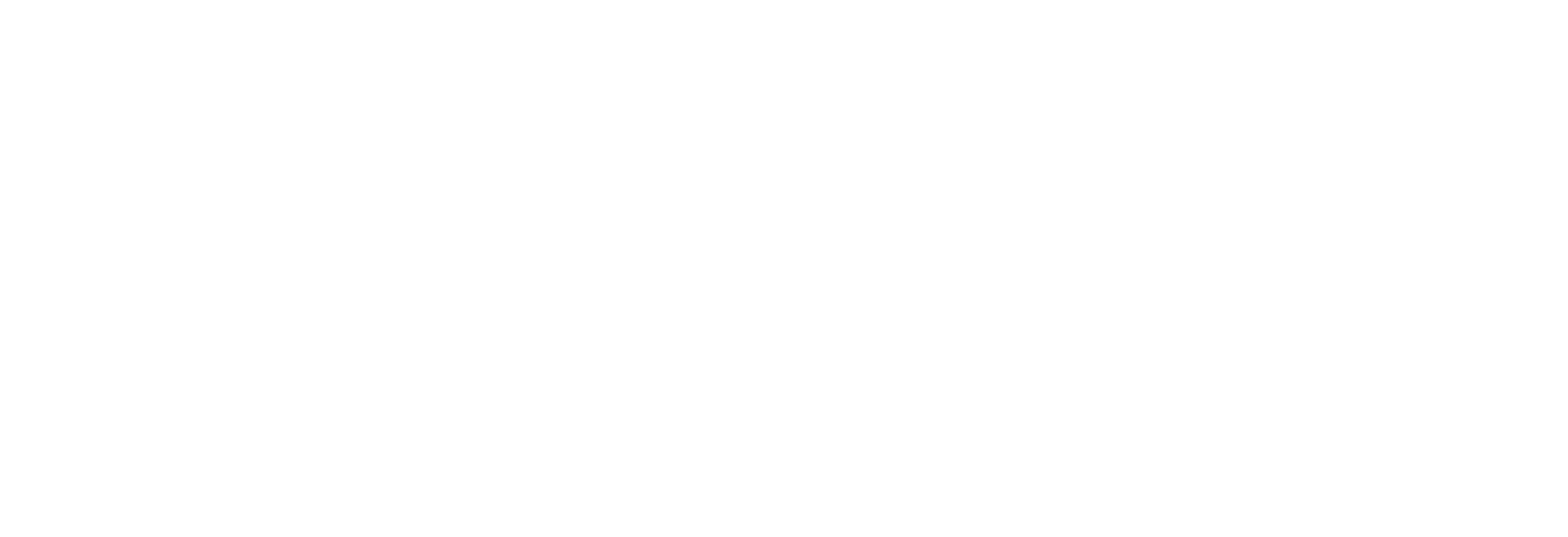 google-white-logo-0-1